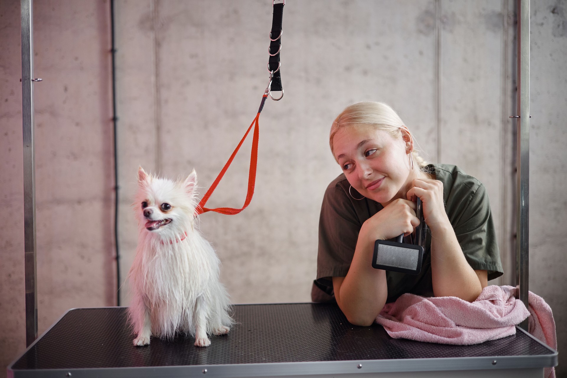 Caucasian Young Adult Woman Smiling While Brushing Wet Dog at Grooming Table